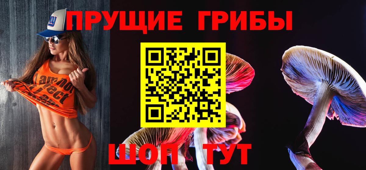 Псилоцибиновые грибы ЛСД  Вход с VPN  Сызрань  Псилоцибиновые грибы Magic Shrooms 