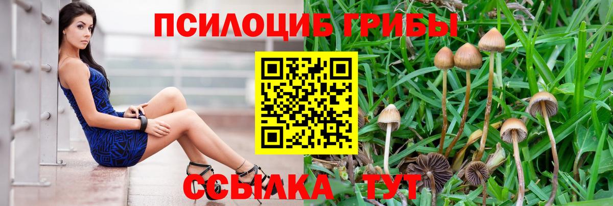 Псилоцибиновые грибы ЛСД Сызрань